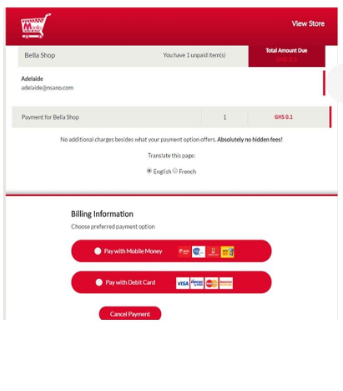 Screenshot of a checkout page